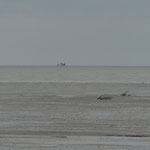 Unser Boot am Horizont © Freiwillige Feuerwehr Cuxhaven-Duhnen
