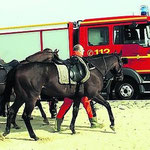 Immer wieder gerettete Pferde aus dem Watt / © Freiwillige Feuerwehr Cuxhaven-Duhnen 