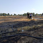 Mit Dunghacken wurden die Ballen auseinander gerissen und gelöscht © Freiwillige Feuerwehr Cuxhaven-Duhnen