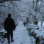 ballade en foret magique dans le Lot sur les causses du Quercy par temps de neige