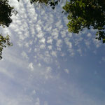 repos et week-end vont bien ensemble ! gite insolite nature 