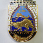 insigne 11° génie DP h709  prix : 10 euros