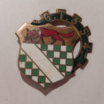 insigne 354° G.T DPN43rom    prix :20 euros
