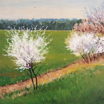 2013, Wiosna na wsi, olej na płótnie lnianym, 30 x 40 cm. 