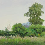 2017, Łąka, Meadow, Wiese, olej na płycie, 25.5 x 34 cm.