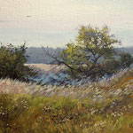 2014, Łąka, Meadow, olej na płótnie lnianym, 30 x 40 cm.