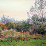 2014, Łąka 7, Meadow, Wiese, olej na płótnie lnianym, 30 x 40 cm. 秋