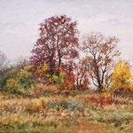 2015, Jesienna łąka, Herbstwiese, olej, płótno lniane, 30 x 40 cm.
