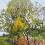2015, Przy jeziorze, at the lake, olej, płótno lniane, 30 x 40 cm.