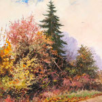 2011, Barwy Jesieni, olej na płótnie, 30 x 40 cm.