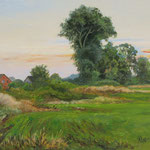 2015, Na Kaszubach, olej, sklejka, 30 x 40 cm.