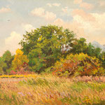 2015, Jesienny pejzaż, Herbstlandschaft, Autumn landscape, olej, sklejka, 30 x 40 cm.
