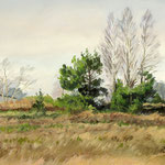 2017, Wczesna wiosna, early spring, olej na tekturze, 27,5 x 40,5 cm. 