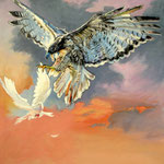 2016, Jastrząb i gołąb, Habicht und Taube, Hawk and Dove, olej na płótnie, 60 x 70 cm.