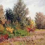 2014, Łąka 8, Meadow, Wiese, olej na płótnie lnianym, 25 x 30 cm. 秋