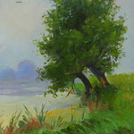 2013, Wieczór nad jeziorem, olej na kartonie, 18,5 x 27 cm.