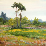 2012, Łąka, Wiese, Meadow, olej na płótnie, 30 x 40 cm.  夏