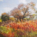 2013, Jesień, olej na sklejce, 30 x 40 cm.
