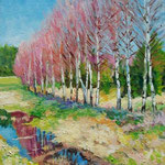 2010, Wiosenne brzozy, olej na płótnie, 24 x 30 cm.