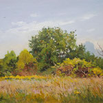 2014, Łąka, Wiese, Meadow, olej na kartonie, 30 x 40 cm.  