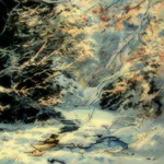 2020, Zima w lesie, Winter im Walde, olej na płótnie, 33 x 45 cm.