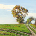 2017, Jesien na wsi, Herbst auf dem Lande, olej na płótnie lnianym, 35 x 50 cm.