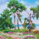 2010, Wrzosy i drzewa,olej na płótnie, 40 x  50 cm.