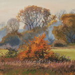 2015, Jesienny pejzaż, Herbstlandschaft, autumn landscape, olej, sklejka, 25 x 37 cm.