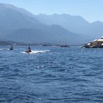Operating eManual creation for guest jetski training©www.superyachtpwc.com