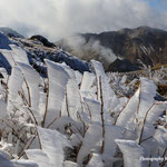 三俣山Ⅳ峰より星生山・硫黄山を望む