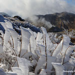 三俣山Ⅳ峰より星生山・硫黄山を望む