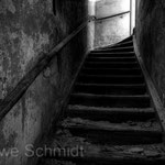 Ans Licht