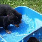 Im Sommer Schwimmtraining