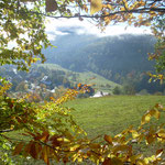 Der goldene Herbst ist da