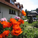 Blütenbracht am Landhaus