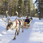 Rentierschlittenfahrt Finnisch Lappland 0683
