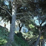 Une maison entre mer et la luxuriante végétation du Cap