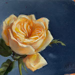 Nancy Bea Miller, "Folded Rose", 5” x 7”, oil on panel