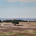 Shushana Rucker, "Spanish Countryside", oil on panel, 11" x 14"