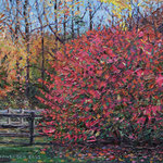 Fred Danziger, “The Red Bush”, 7" x 9", oil