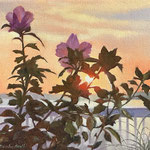 Eliza Auth, ”Evening Glow”, 11” x 14”, oil 
