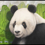 Tom Palmore, "Panda", 30" x 40", oil/acrylic