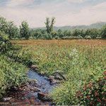 Fred Danziger, “Hopewell Brook”, 9" x 12", oil