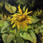 Nancy Bea Miller, "Sunflower", 8" x 8", oil on canvas