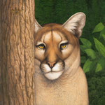 Tom Palmore, "Hidden in Plain Sight", 42" x 36", acrylic and oil on canvas