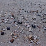 Fred Danziger, “Tideline”, 16" x 20", oil
