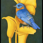 Tom Palmore, "Good Morning Mr. Blue Bird", 36" x 24", oil/acrylic
