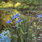  Eliza Auth, “Irises in the Bog”, 18” x 24”, oil 