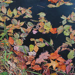 Fred Danziger, "September Pond", 36" x 48", oil