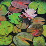 Fred Danziger, “Hopewell Lake Lilies”, 9" x 12", oil